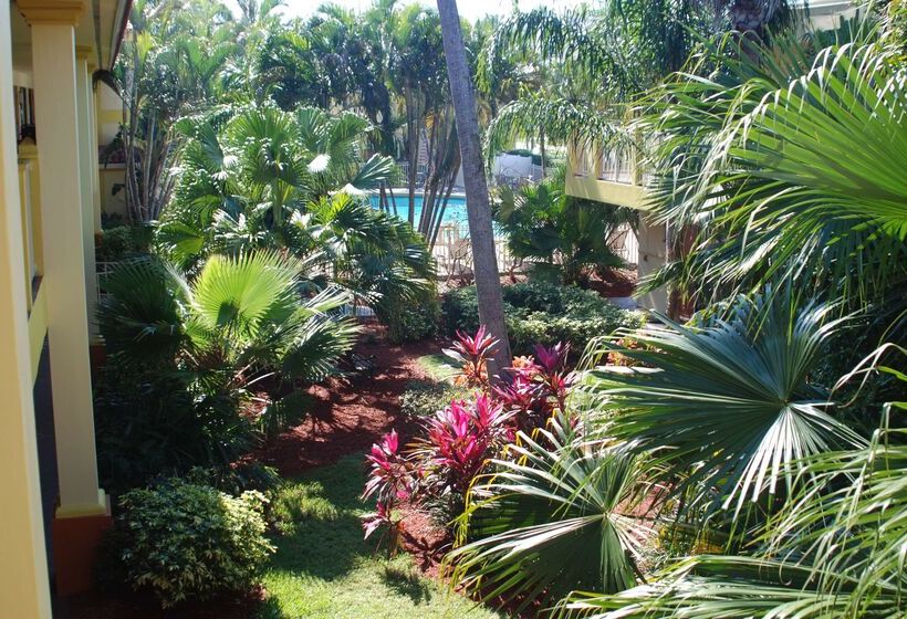 فندق Oasis Boca Raton