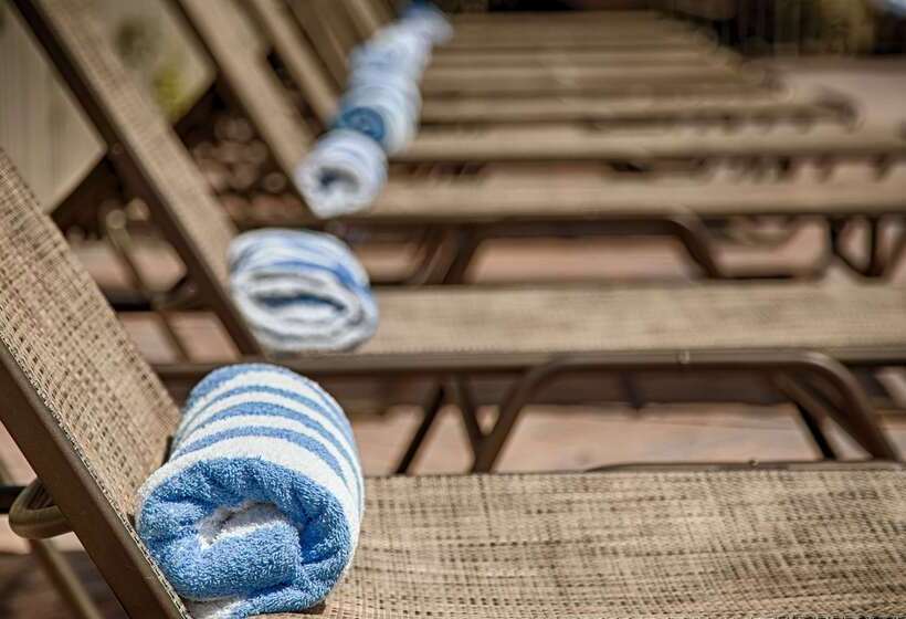 فندق Oasis Boca Raton