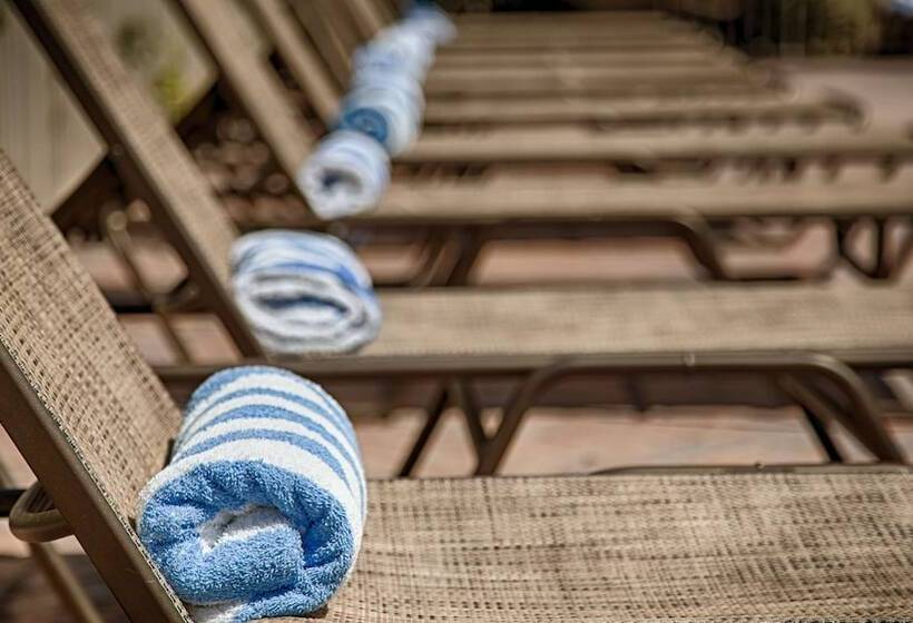 فندق Oasis Boca Raton