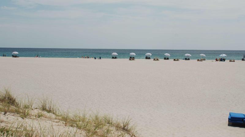 فندق Oasis Boca Raton