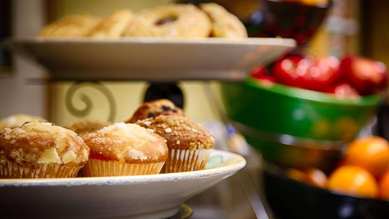 فندق Oasis Boca Raton