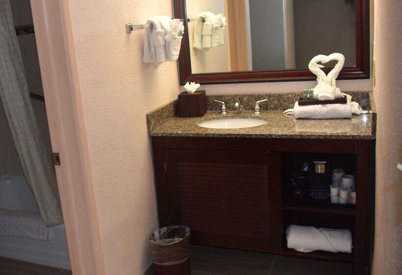 فندق Oasis Boca Raton