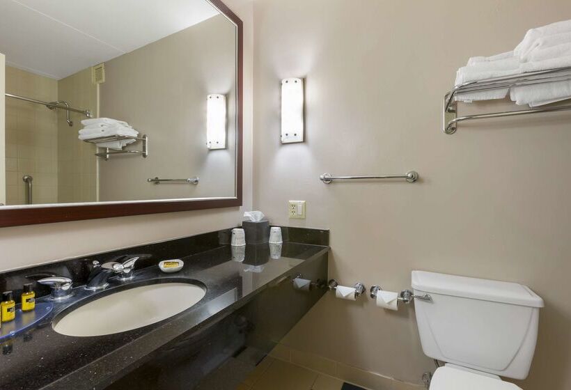 ホテル Best Western Plus University Inn