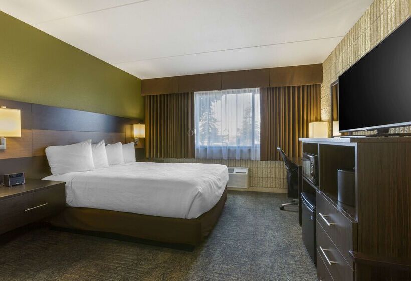 فندق Best Western Plus University Inn