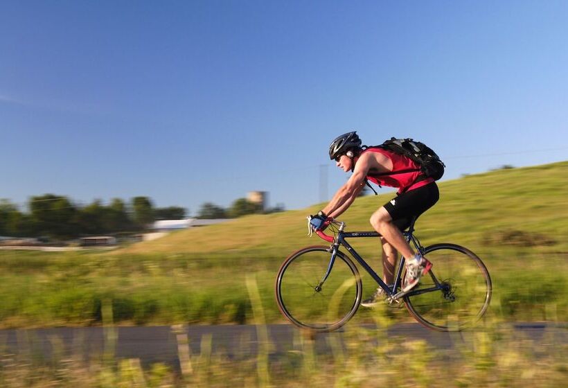 ホテル Best Western Plus University Inn