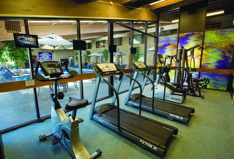 فندق Best Western Plus University Inn