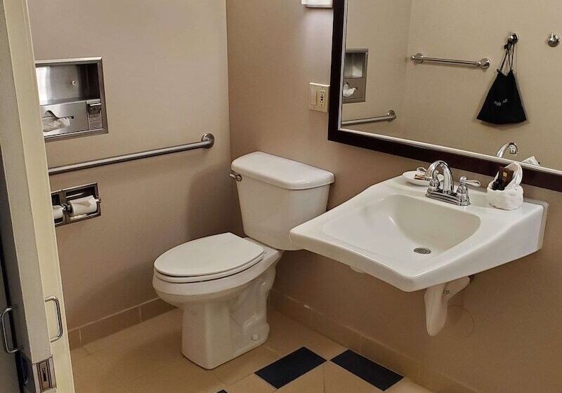 فندق Best Western Plus University Inn