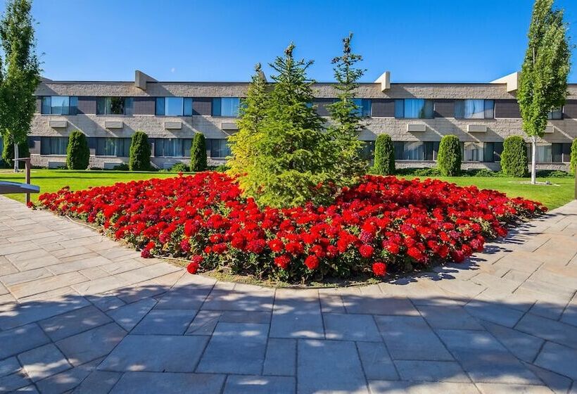 ホテル Best Western Plus University Inn