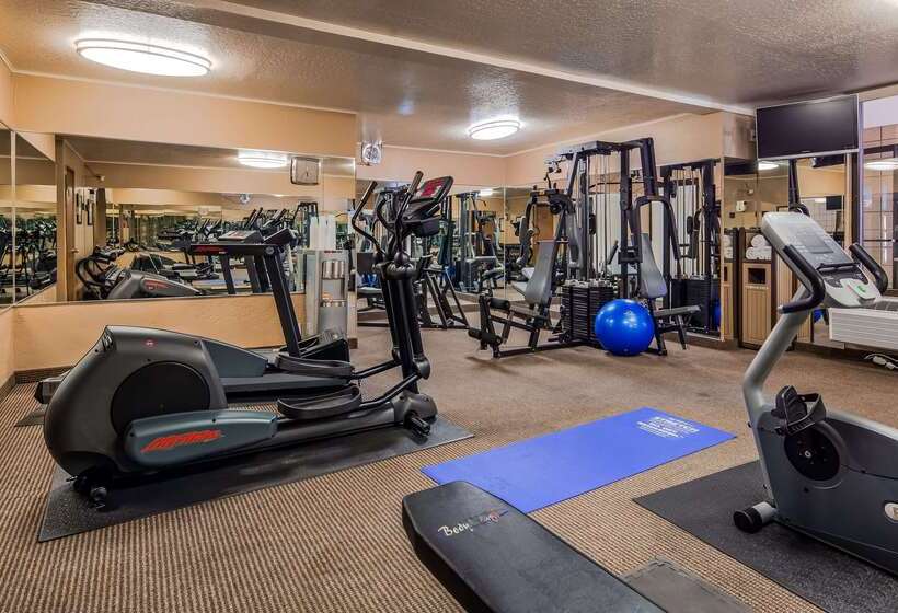 فندق Best Western Plus Weston Inn