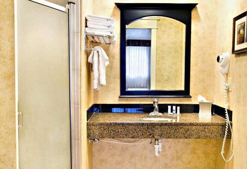 فندق Best Western Plus Weston Inn