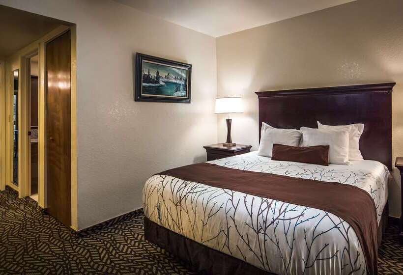 酒店 Best Western Plus Yosemite Gateway Inn