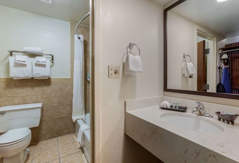 هتل Best Western Red Hills