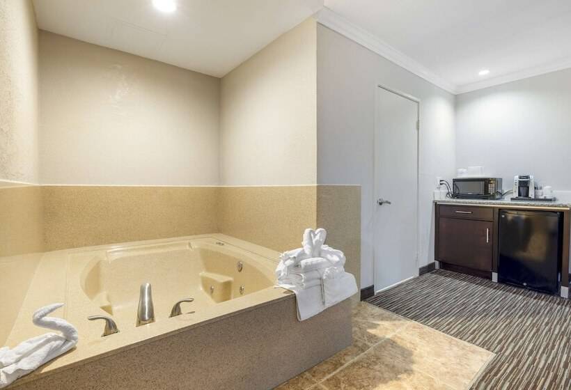 Best Western Redondo Beach Galleria Inn Hotel   Beach City La