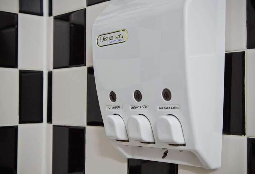 هتل Best Western Chicago Downtown River North