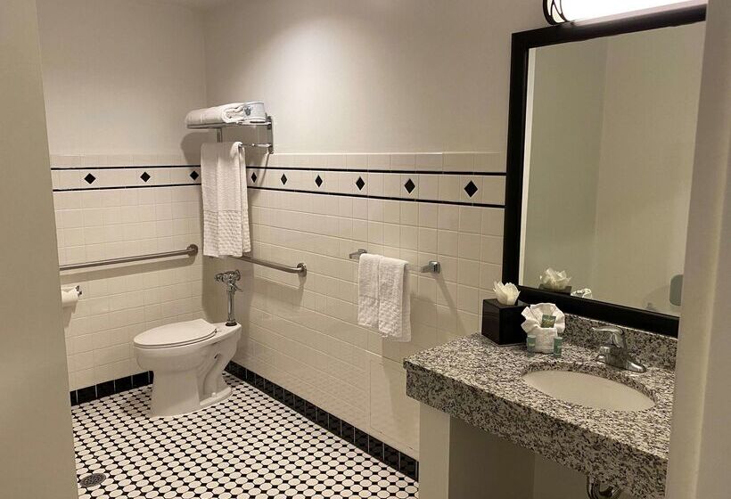 هتل Best Western Chicago Downtown River North