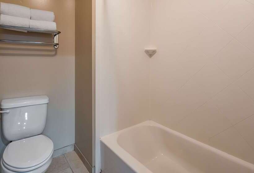 Отель Best Western River Terrace