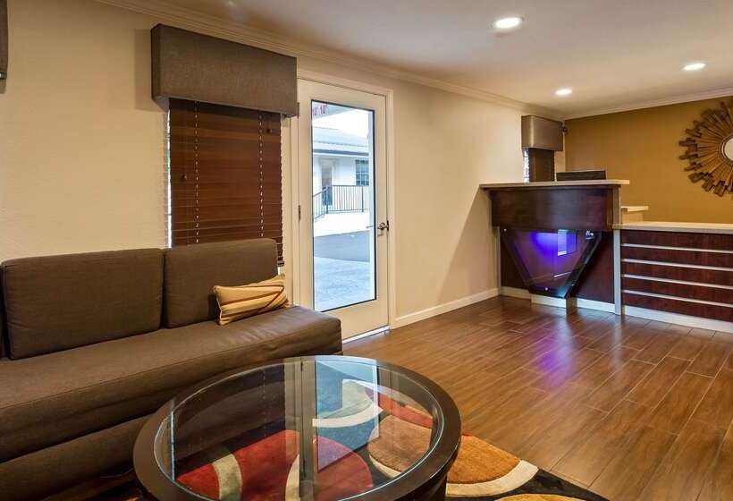 فندق Best Western Skyline Motor Lodge