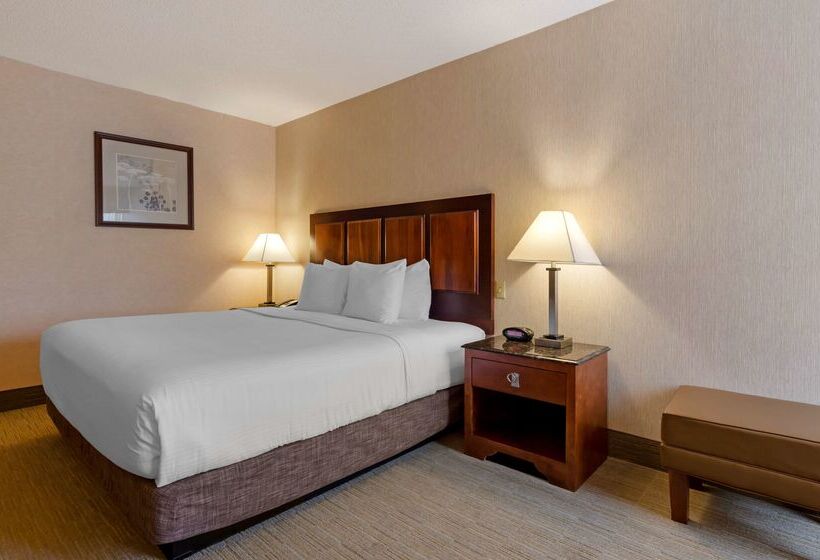 فندق Best Western Staunton Inn