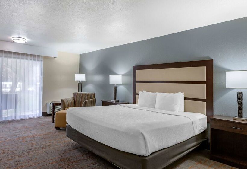 فندق Best Western Sunridge Inn & Conference Center