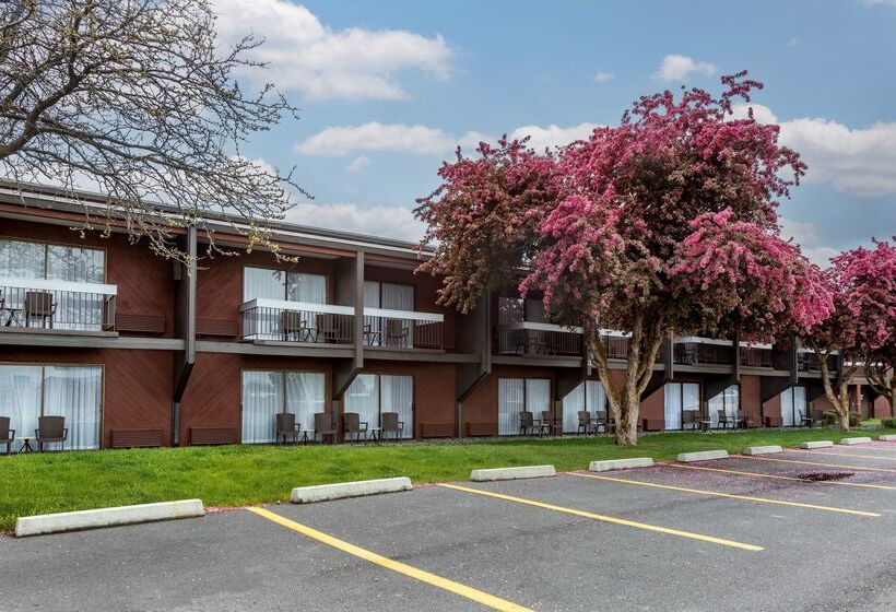 فندق Best Western Sunridge Inn & Conference Center