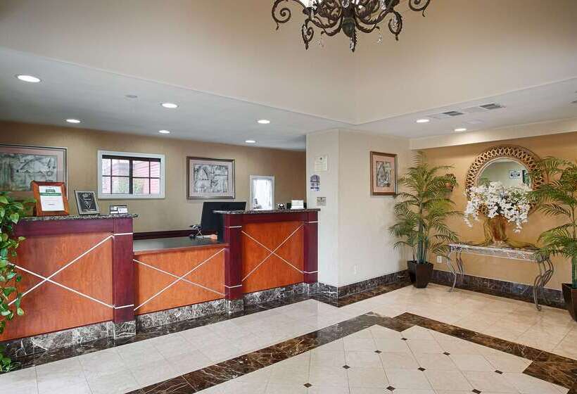 酒店 Best Western Surf City