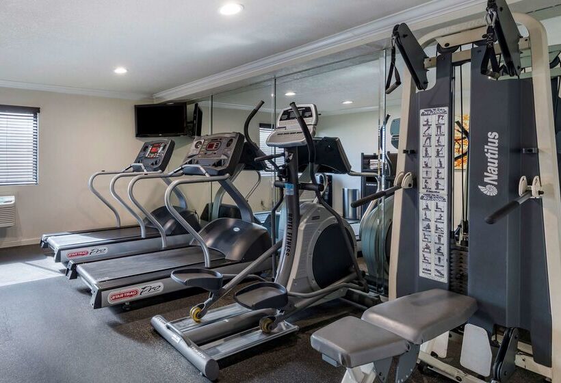 Отель Best Western Town & Country Lodge