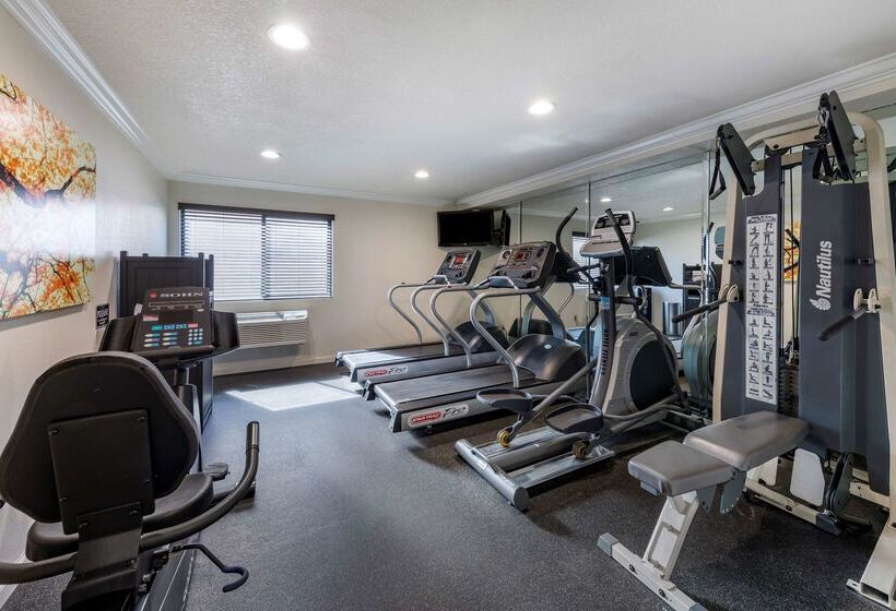 Отель Best Western Town & Country Lodge