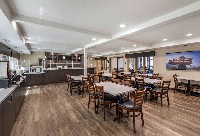 Отель Best Western Town & Country Lodge