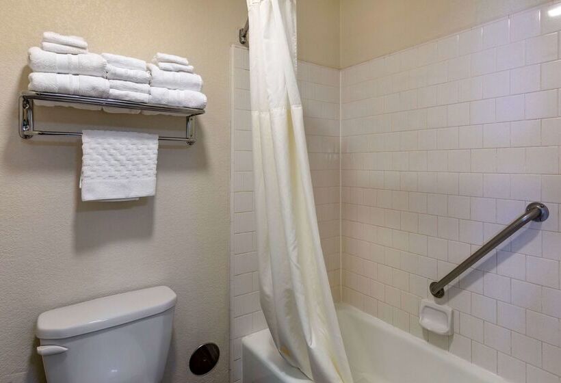 Отель Best Western Town & Country Lodge