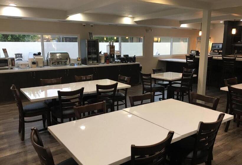 Отель Best Western Town & Country Lodge