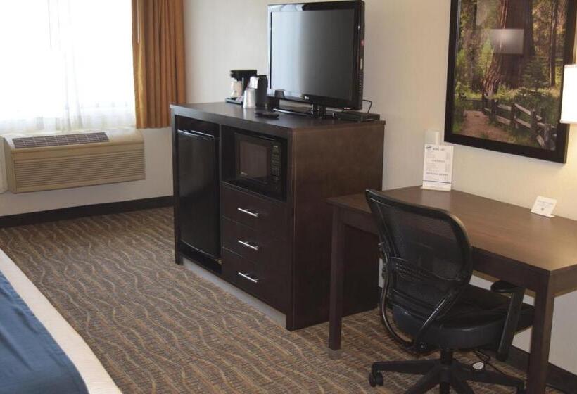 Отель Best Western Town & Country Lodge