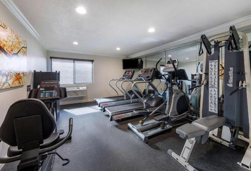 Отель Best Western Town & Country Lodge