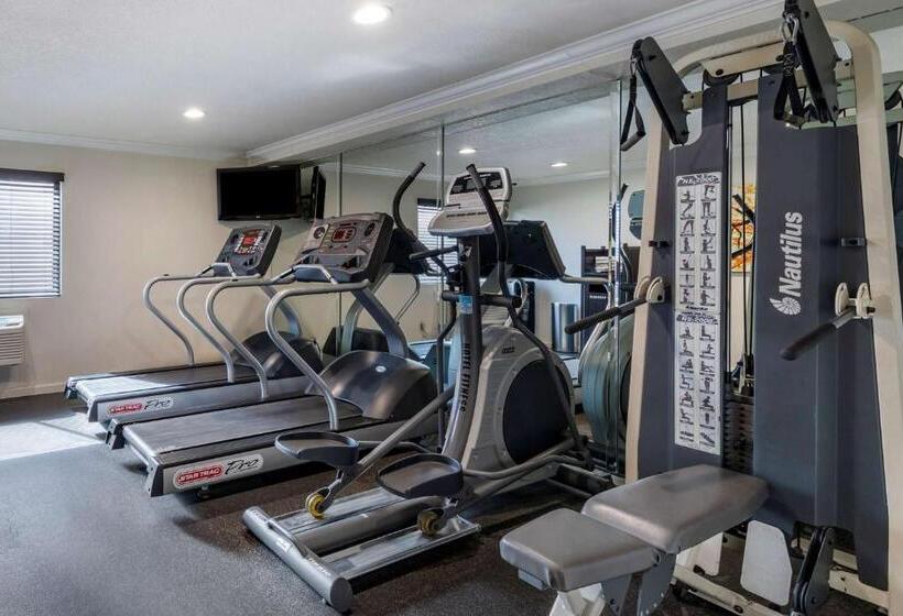 Отель Best Western Town & Country Lodge