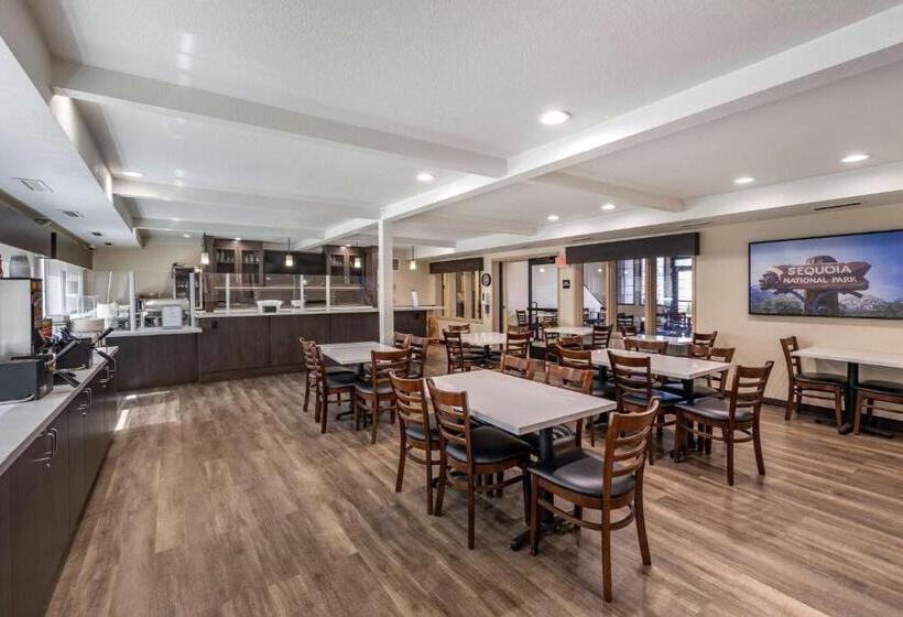 Отель Best Western Town & Country Lodge