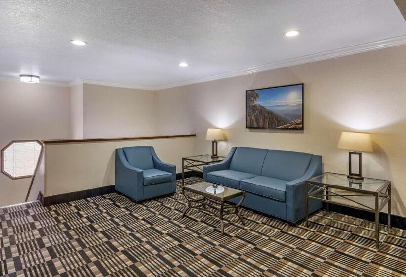 Отель Best Western Town & Country Lodge