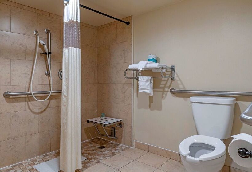 בית מלון כפרי Best Western Town House Lodge