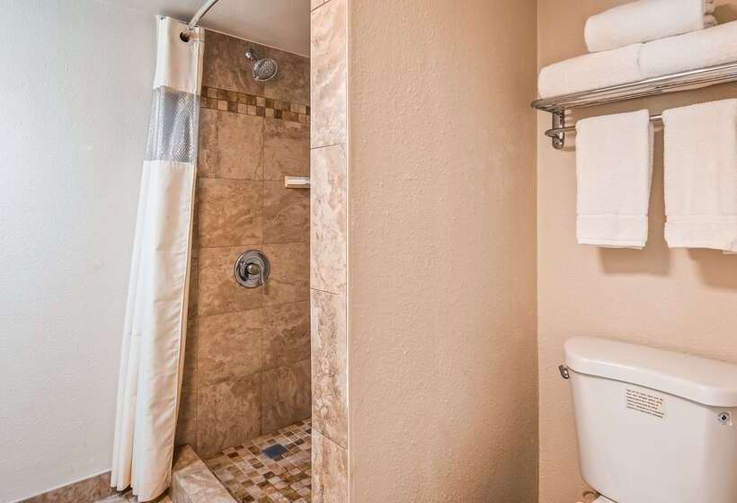 فندق Best Western Town House Lodge