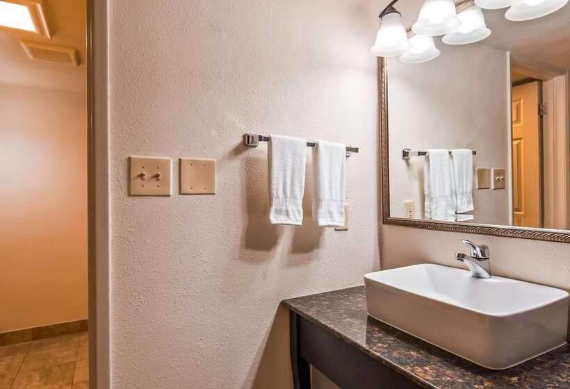 فندق Best Western Town House Lodge