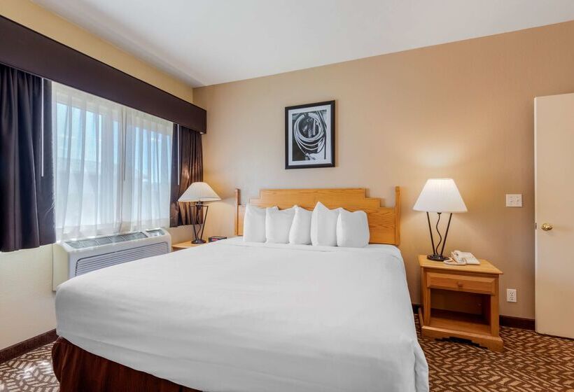 فندق Best Western Turquoise Inn & Suites