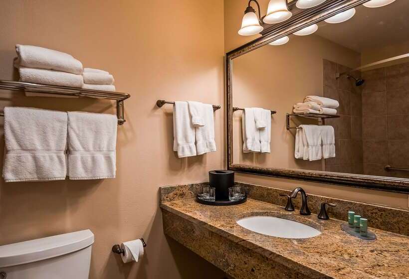 فندق Best Western Tyrolean Lodge