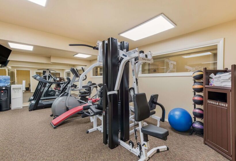 فندق Best Western Tyrolean Lodge