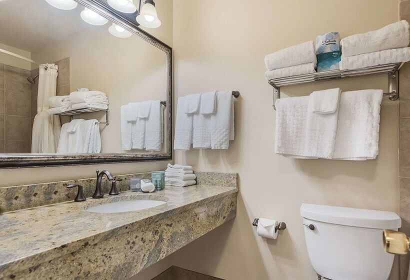 فندق Best Western Tyrolean Lodge