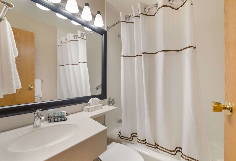 Отель Best Western University Inn