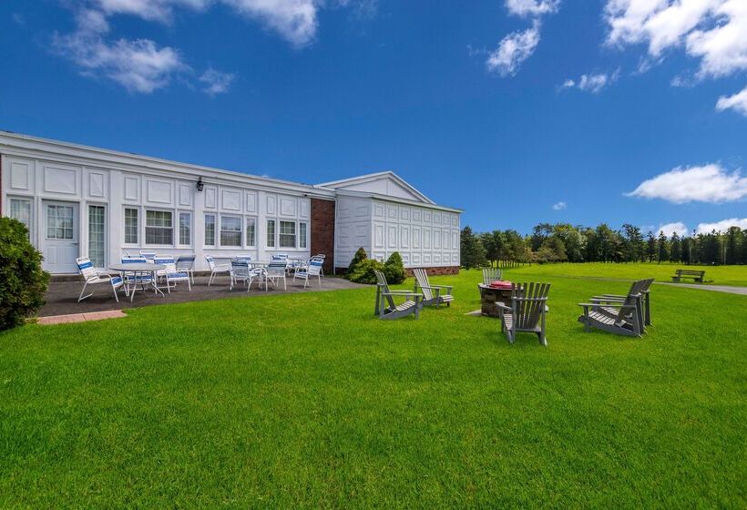 Отель Best Western University Inn