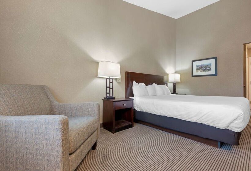 فندق Best Western University Inn