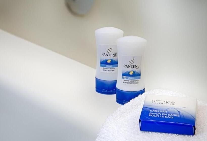 בית מלון כפרי Best Western University Lodge