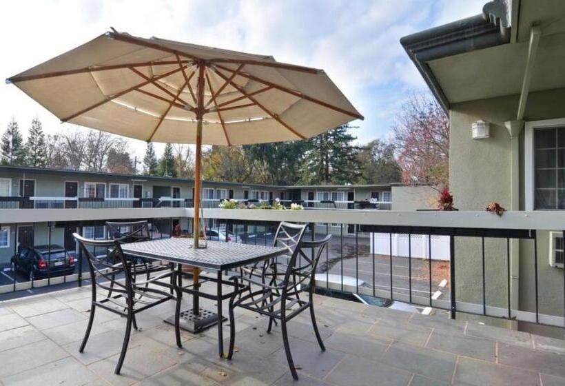 בית מלון כפרי Best Western University Lodge