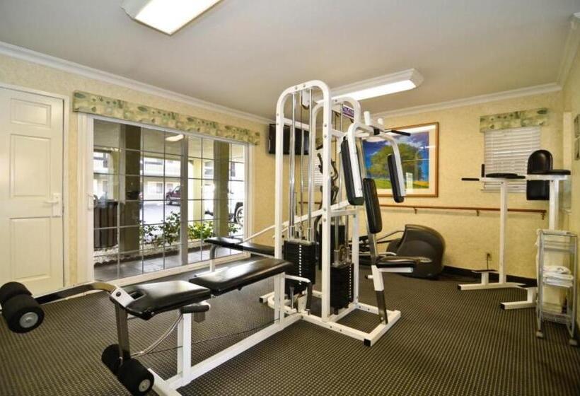 בית מלון כפרי Best Western University Lodge