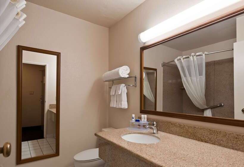 Отель Best Western Village Inn