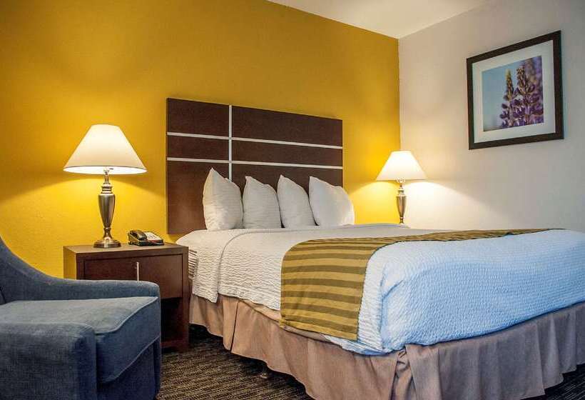 Отель Best Western Village Inn